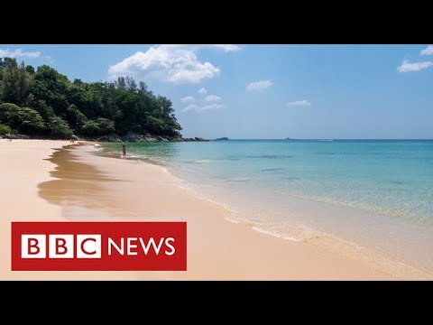 “Don’t book a summer holiday” says UK government – BBC News