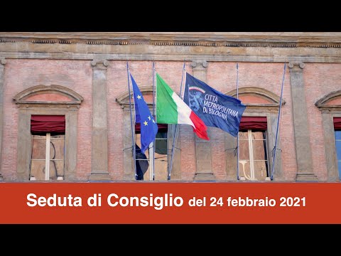 Seduta di Consiglio  24 febbraio 2021