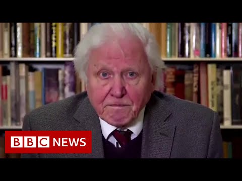 Attenborough gives stark warning on climate change to UN – BBC News