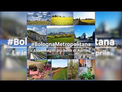 Le immagini più belle di aprile da #bolognametropolitana