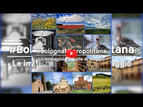 Le immagini più belle di maggio da #bolognametropolitana