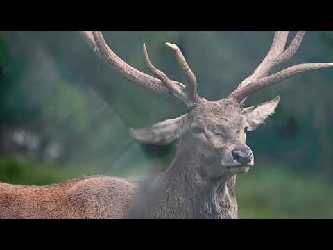 Castiglione dei Pepoli é natura