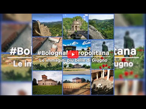 Le immagini più belle di giugno da #bolognametropolitana