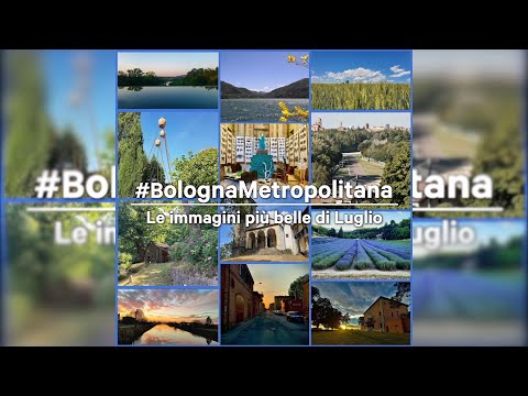 Le più belle immagini di Luglio da #bolognametropolitana