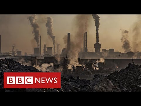 Polluting nations lobby to weaken climate action – BBC News