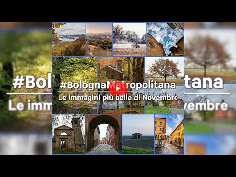 Le Immagini più belle di novembre 2021 #bolognametropolitana