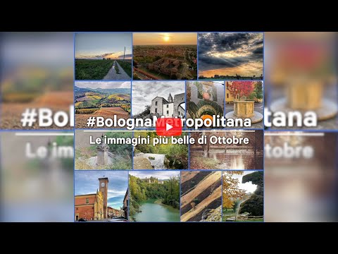 Le Immagini più belle di ottobre 2021 #bolognametropolitana