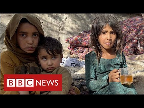 Millions face starvation in Afghanistan as UN warns of “hell on earth” – BBC News