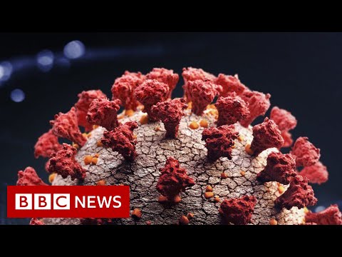 Scientists research link between Covid variants and untreated HIV – BBC News