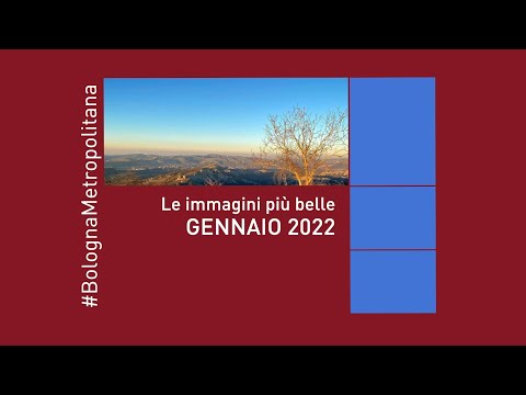 Le immagini più belle di Gennaio 2022 da #BolognaMetropolitana