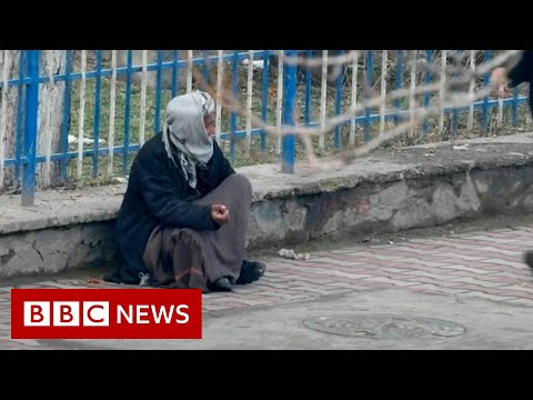 Millions at risk of starvation in Afghanistan – BBC News