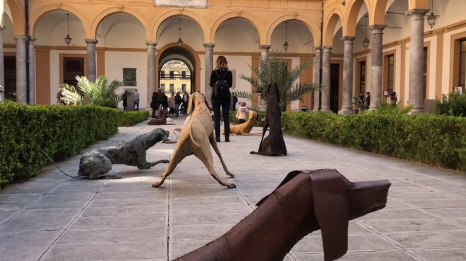 Il Branco di Vitali approda alla Facoltà di Giurisprudenza di Palermo