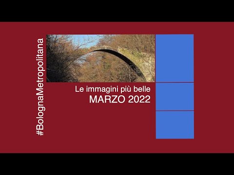 Le immagini più belle di Marzo da #BolognaMetropolitana