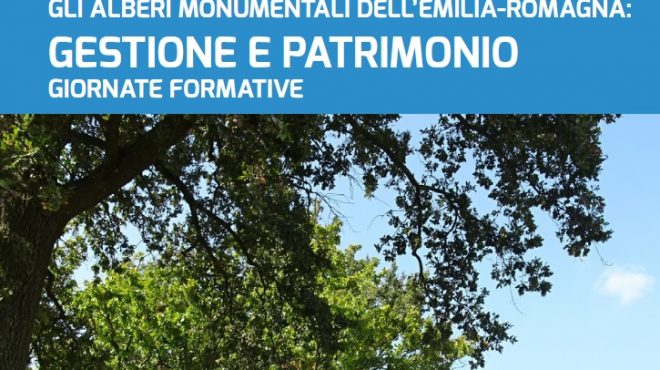 Emilia Romagna terra di alberi monumentali, arriva il corso per esperti