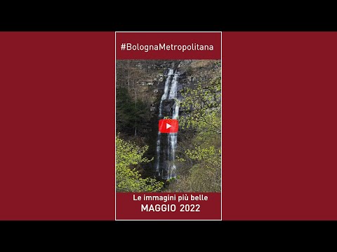 Le immagini più belle di Maggio 2022 da #BolognaMetropolitana