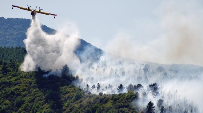 Emilia Romagna, ancora fiamme nei boschi di Vergato