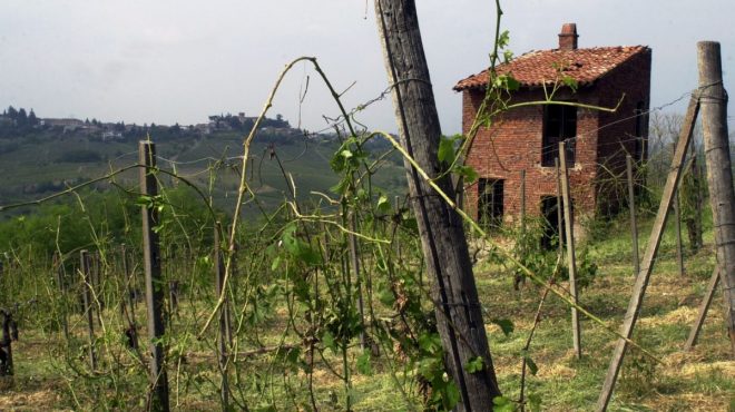 Agricoltura, dalla Regione 350 mila euro per i danni da fauna selvatica