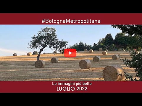 Le immagini più belle di Luglio 2022 da #BolognaMetropolitana