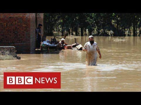 Pakistan army leads flood rescue missions – BBC News