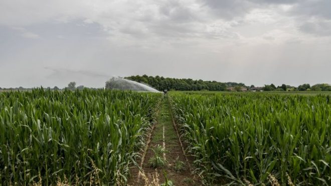 Al via la nuova politica agricola comunitaria 2023-27 in Emilia-Romagna