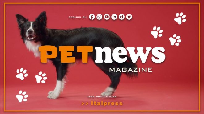 PetNews Magazine – 11/4/2023