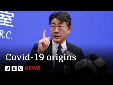 Covid-19: ‘Don’t rule out lab leak’, says former Chinese scientist – BBC News