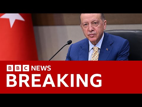 Turkey’s president to back Sweden joining Nato – BBC News