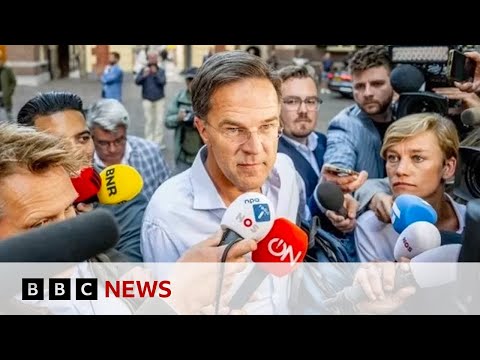 Dutch coalition government collapses in migration row – BBC News