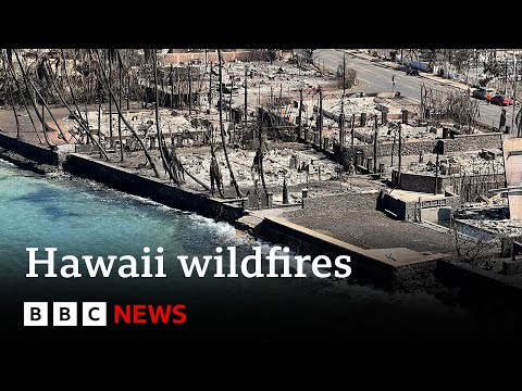 Maui fire death toll rises to at least 99 – BBC News