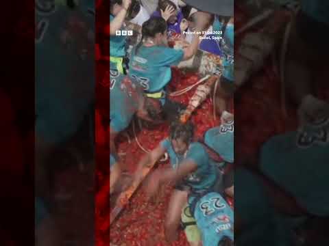 The annual La Tomatina festival has been going since 1945. #LaTomatina #Shorts #BBCNews