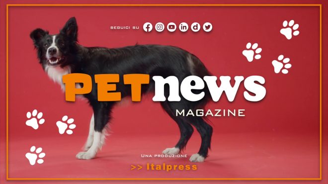 PetNews Magazine – 26/12/2023