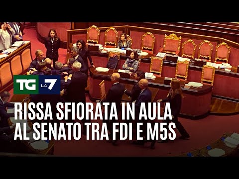 Rissa sfiorata in aula al senato tra FDI e M5S