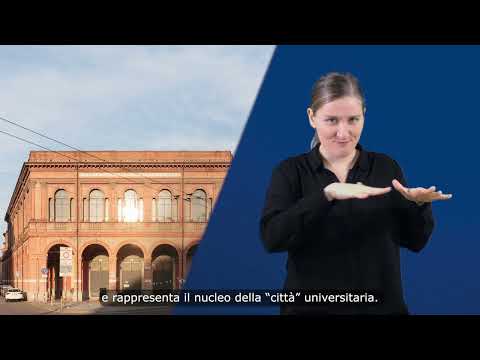 Video LIS I Portici di Bologna   Università e Accademia