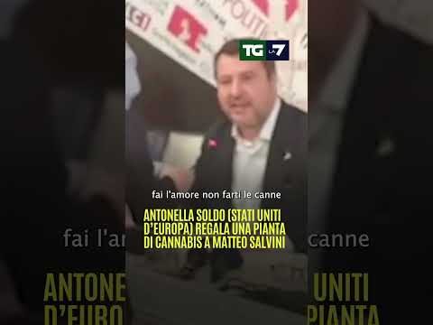 Antonella #Soldo (Stati Uniti d’Europa) regala una pianta di cannabis a Matteo #Salvini