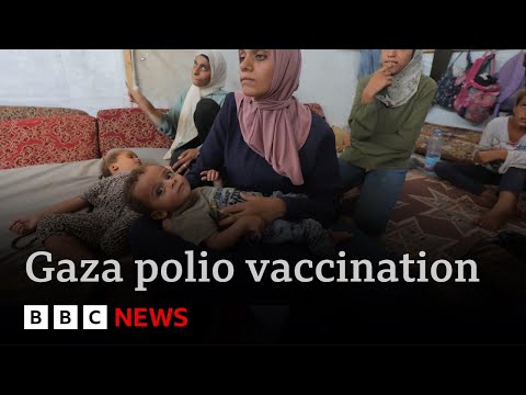 Israel agrees pauses in Gaza fighting to allow polio vaccination of children | BBC News